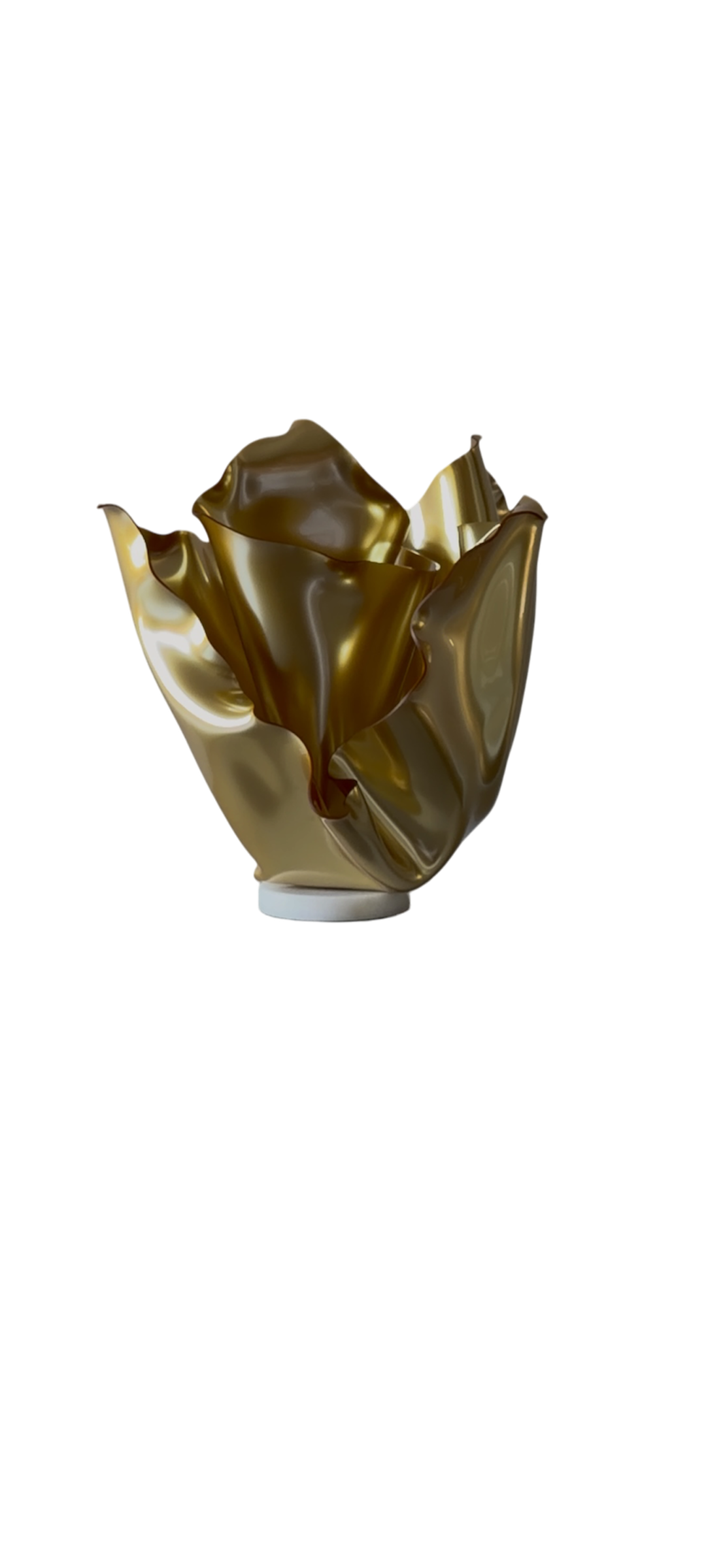 Golden Rose