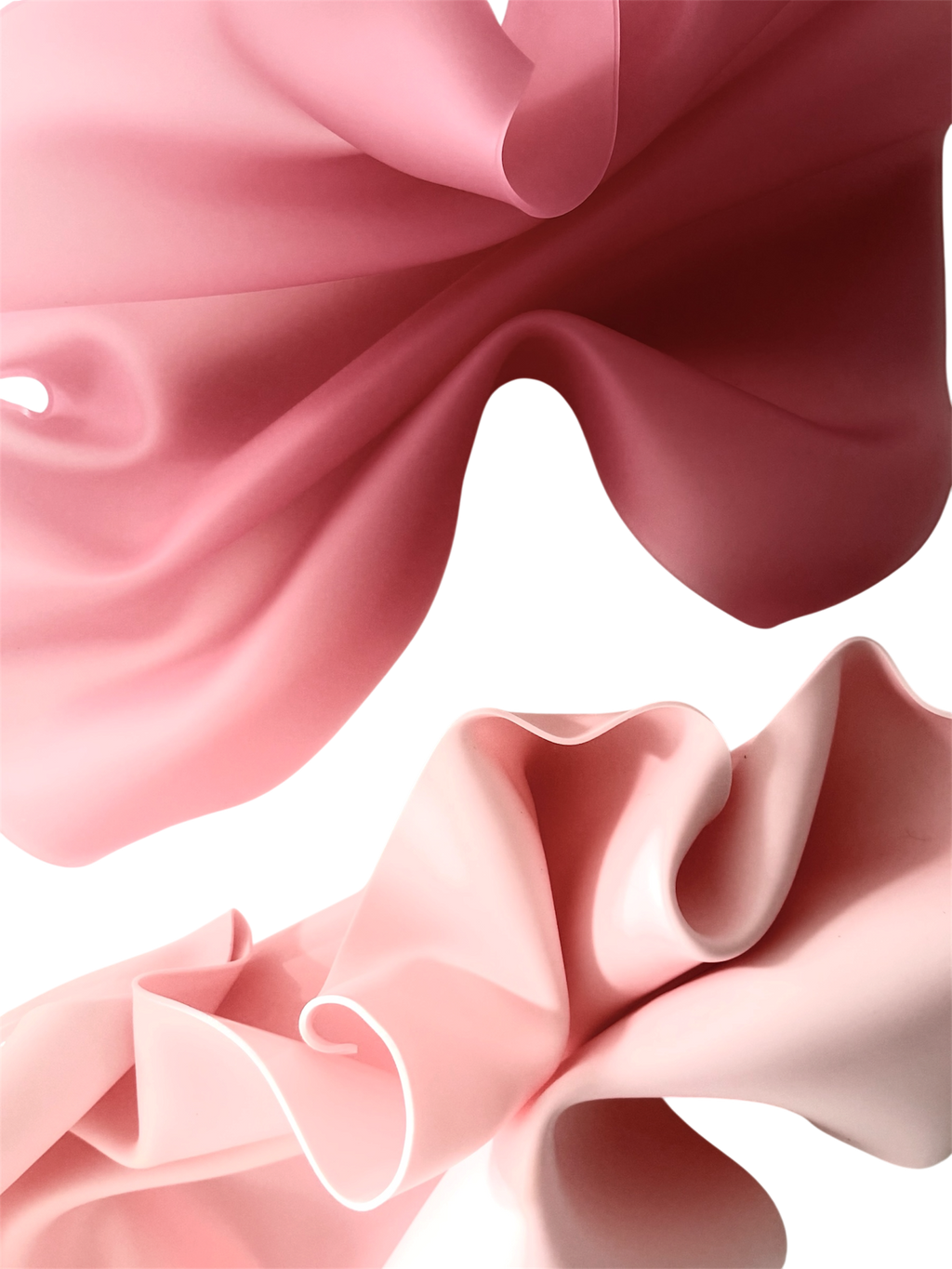 Peony Pair