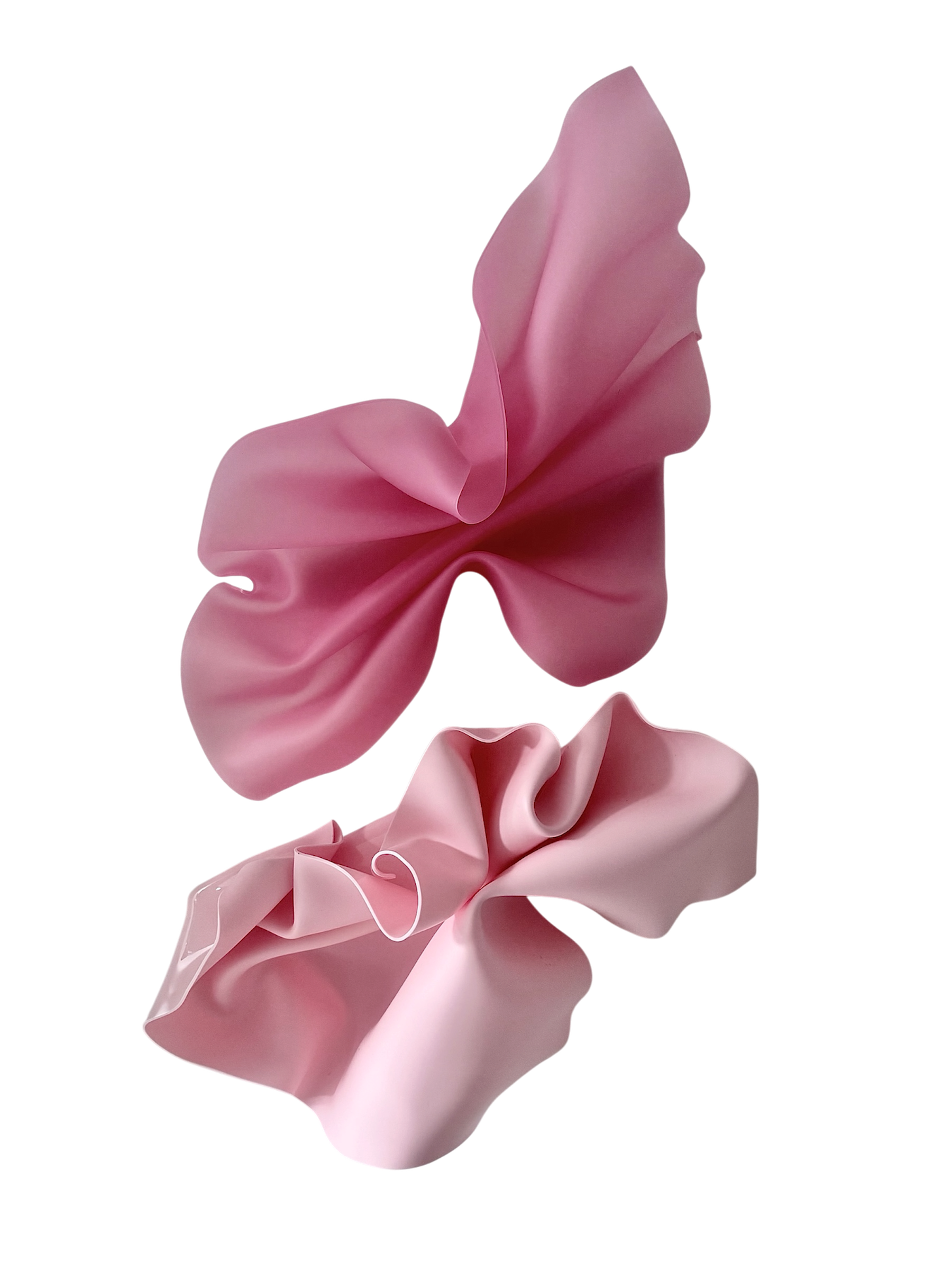 Peony Pair