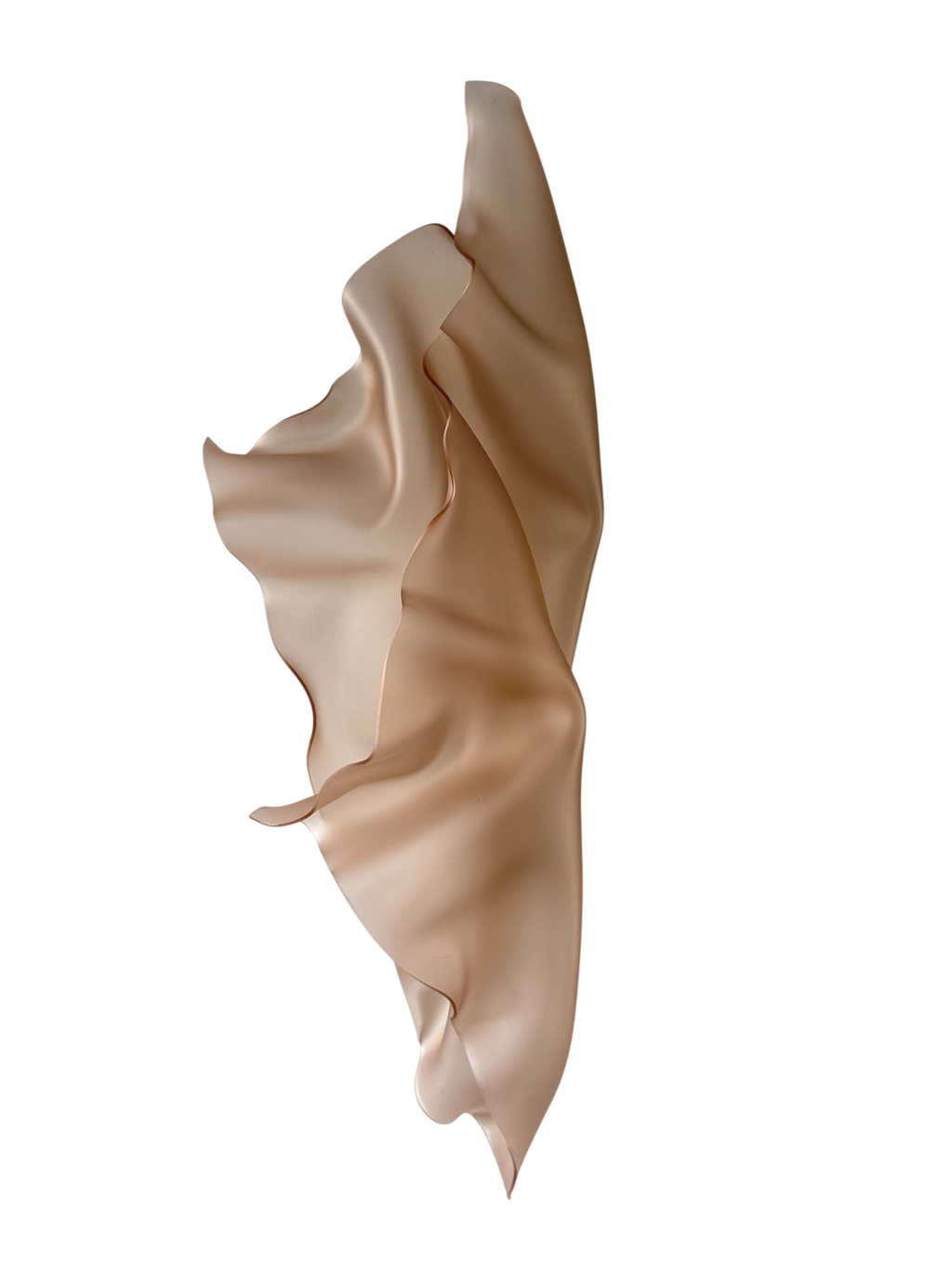 ‘Latte’ Butterfly Effect