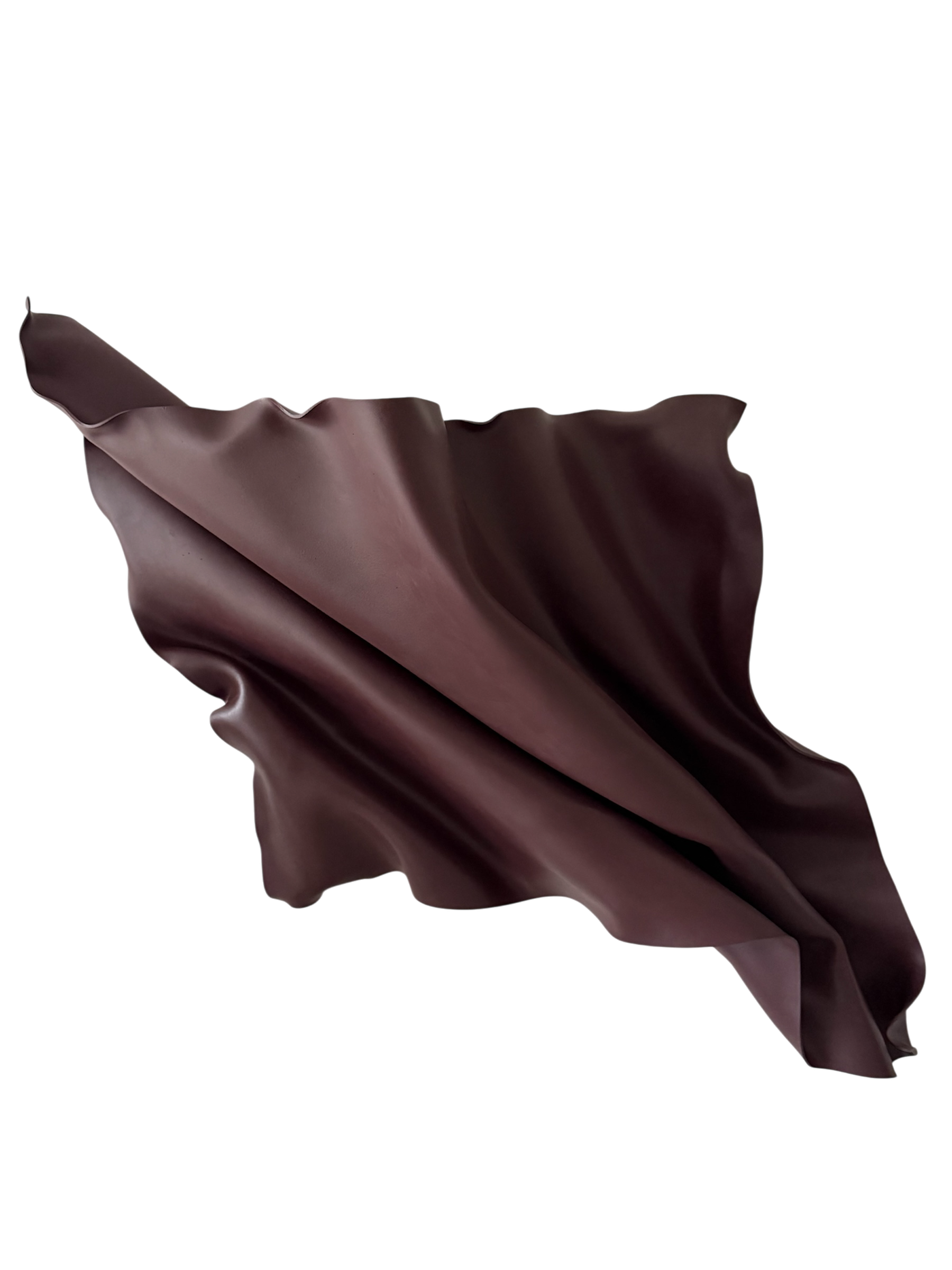 Black Plum