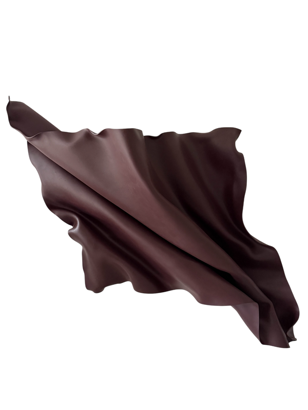Black Plum