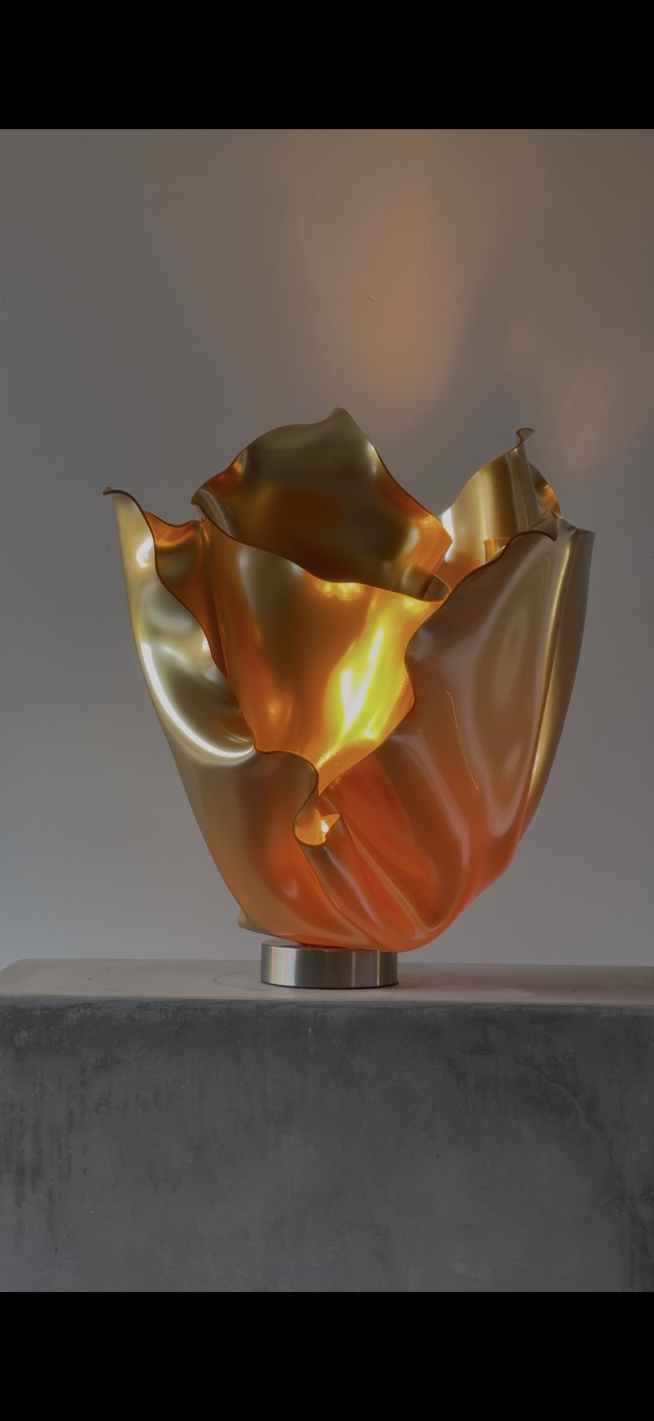 Golden Rose