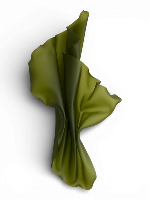 Frosted Nori Green Wall Sculpture